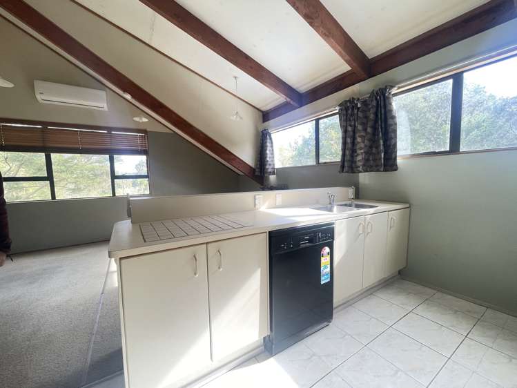 491A Paremoremo Road 10892_4