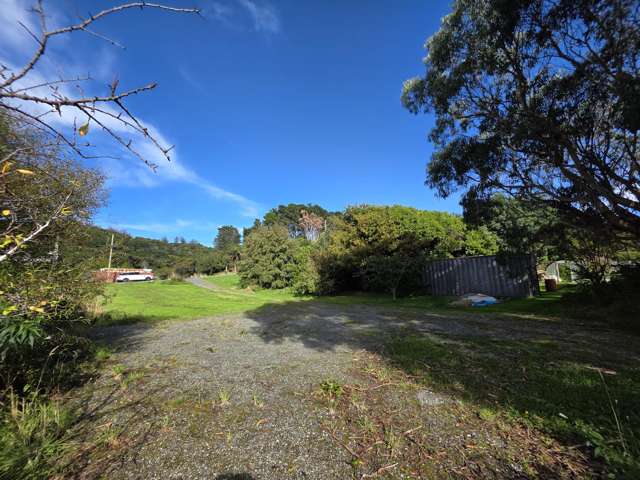 53 Theodore Street Bluff_1