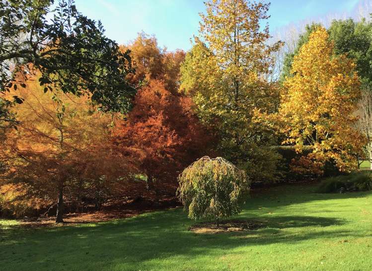 3 Davis Strongman Place Kerikeri_26