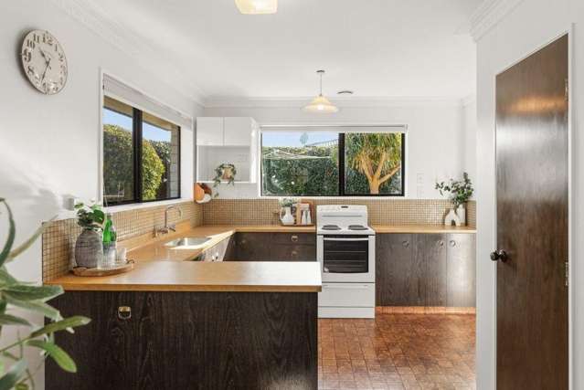 128 Pillans Road 1126_4