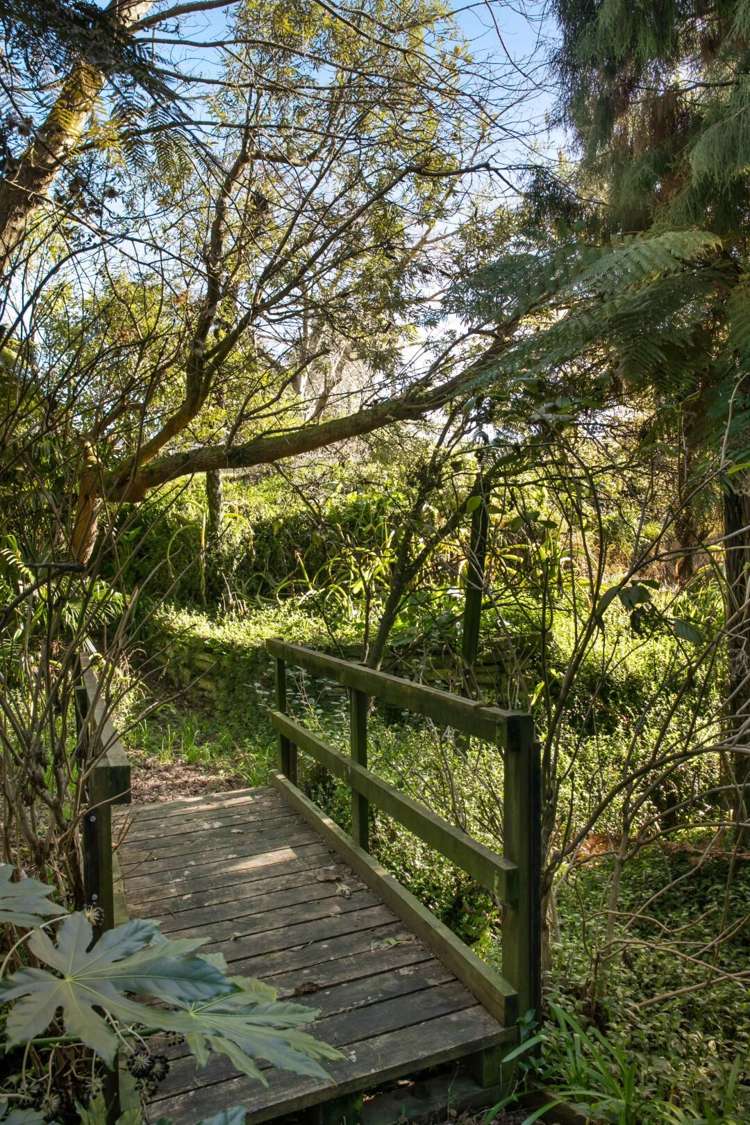 25 Gilmour Street Waihi_18
