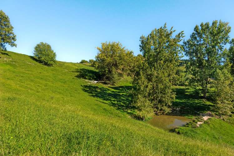 Lot 2 Repongaere Road Patutahi_13