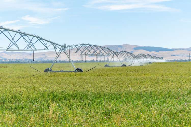 157 Georges Road Amberley_5