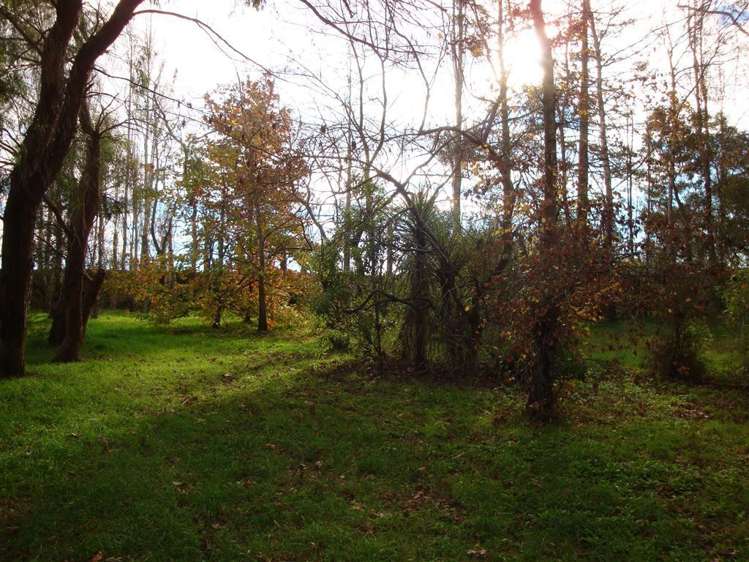 7 Sutton Road Fairview_15