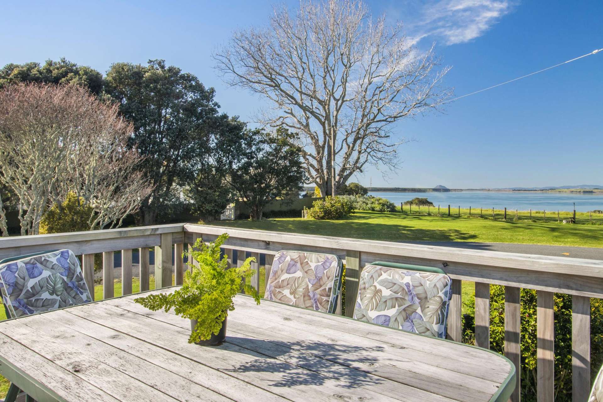 5 Princes Street Katikati_0