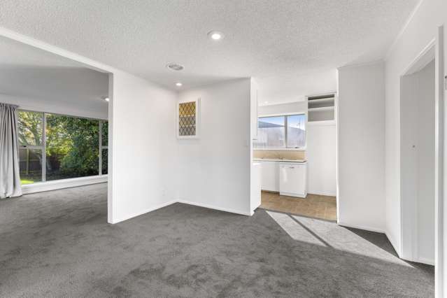 127 Denise Crescent Hornby_1