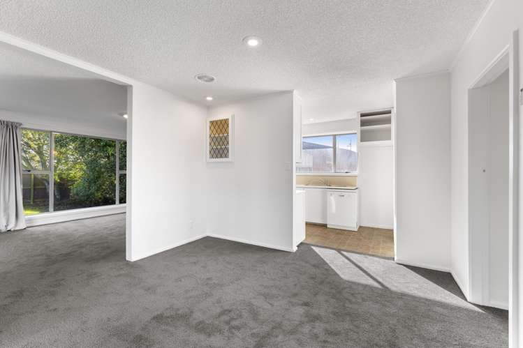 127 Denise Crescent Hornby_1