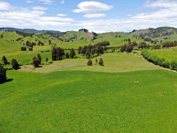 168 Matiere Road Aria_12