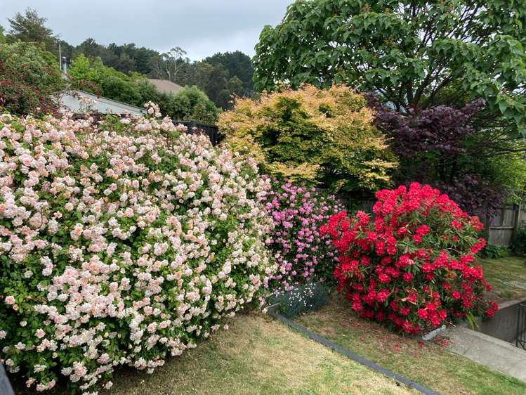 212 Dyers Pass Road Cashmere_29