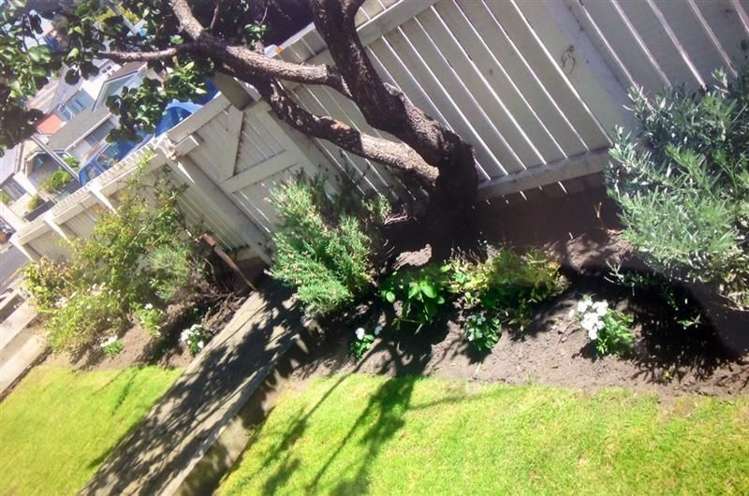 101 Fitzroy Street Forbury_14