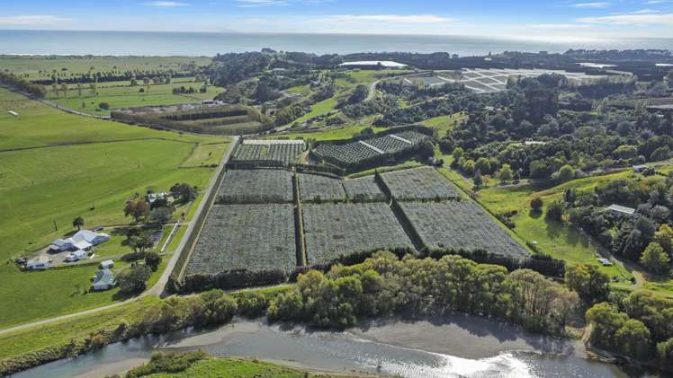 155a Gow Road Opotiki Coastal_9