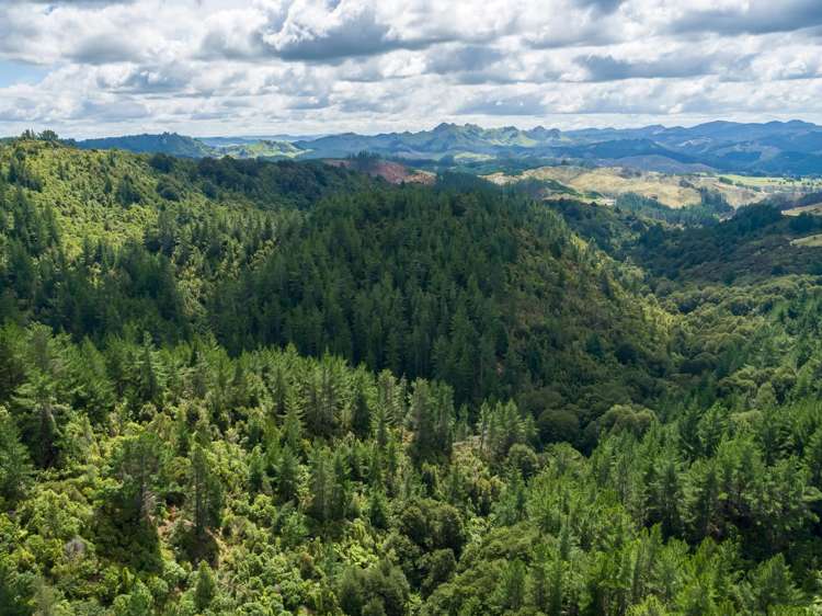 939 Kaiwhata Road Te Wharau_22