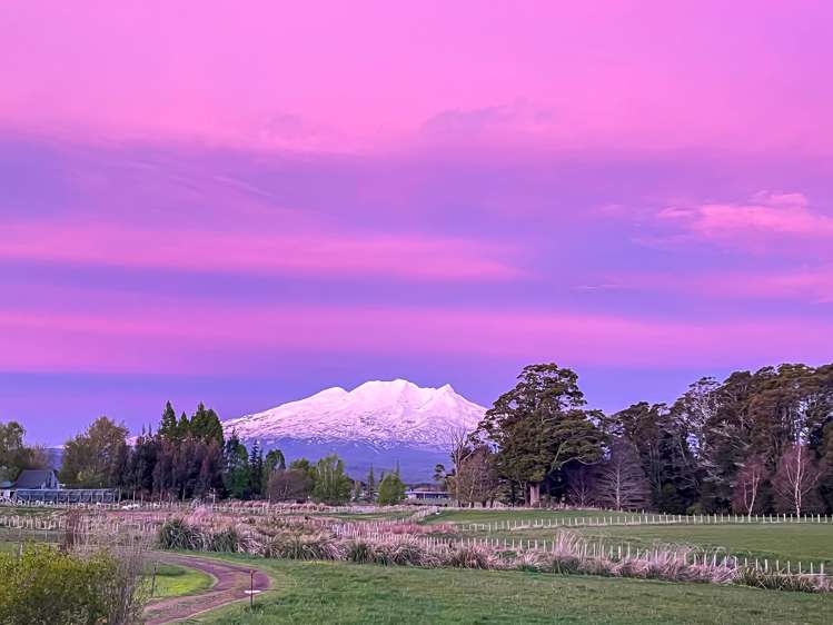 37A Marino Street Ohakune_1