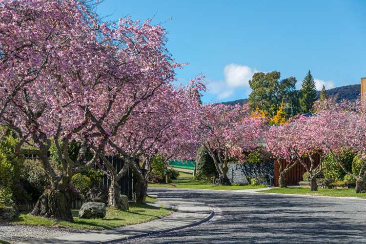 7 Cherry Court Wanaka_15