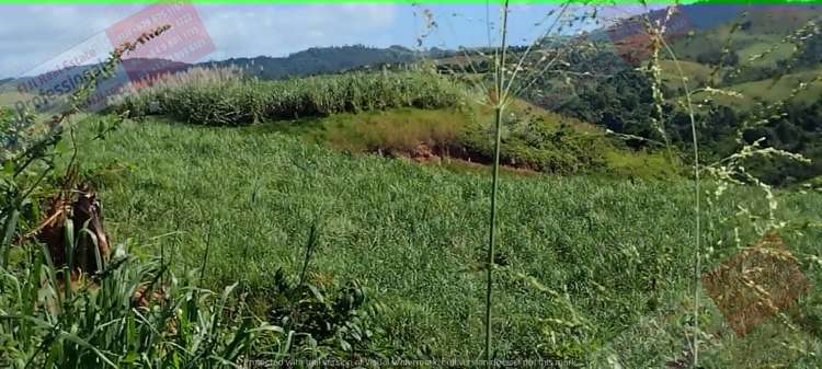 Address withheld Labasa_3