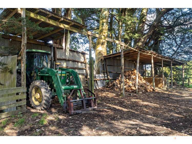 252 Downs Road Geraldine_33