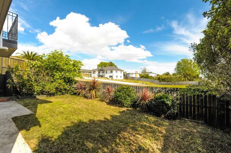 27c New Windsor Road Avondale_5