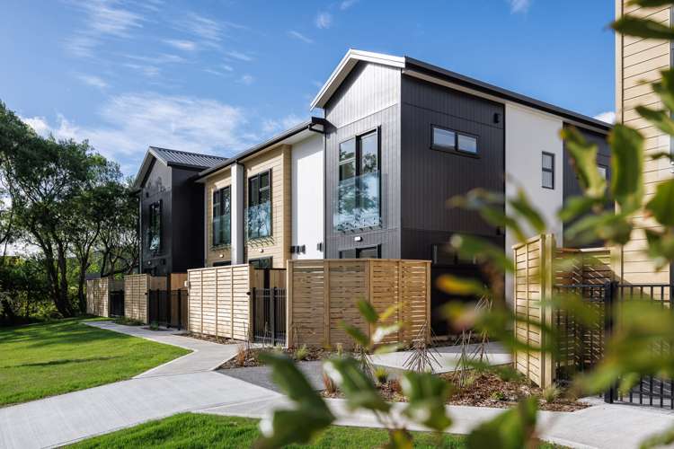 4 Te Ara O Papatahi Wainuiomata_13