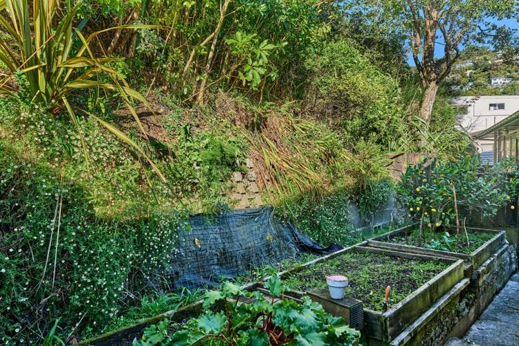 19 Norwich Street Wadestown_17