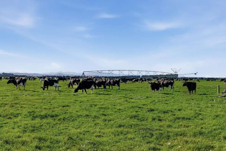 803 Ardlui Road Te Pirita_8