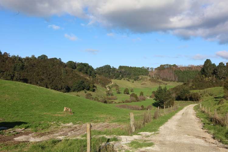 Maniatutu Road Pongakawa_7