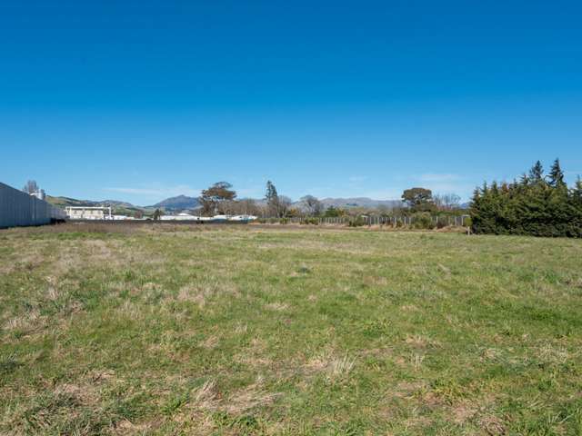 Rarer Than Hens' Teeth!