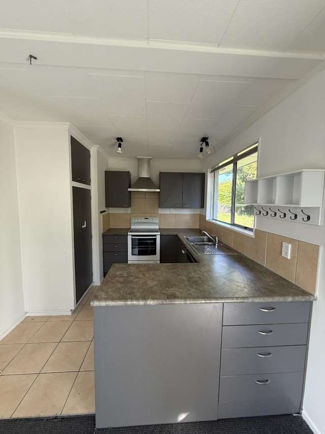 46 Alma Street Renwick_3