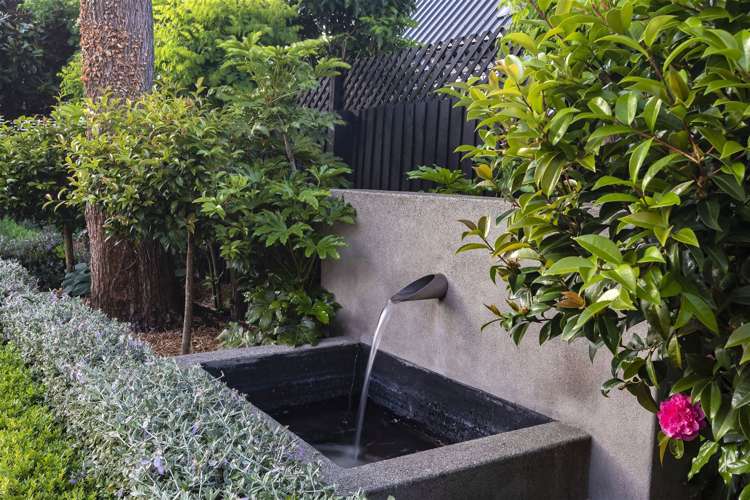 43 Jacksons Road Merivale_21