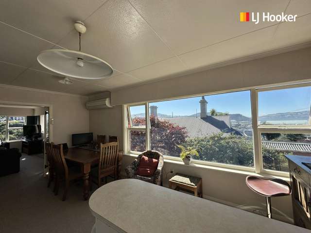 14 Grant Street Dunedin Central_2