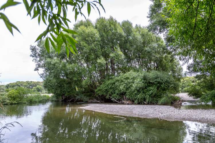 587 Gladstone Road Gladstone_3