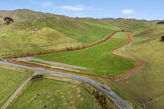 3.53 Hectares on TWO Titles!