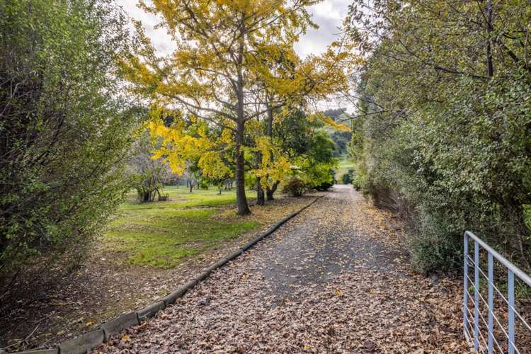 247 Mangataraire Road Horeke_29