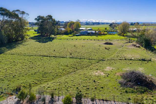 Turoa Street Feilding_1