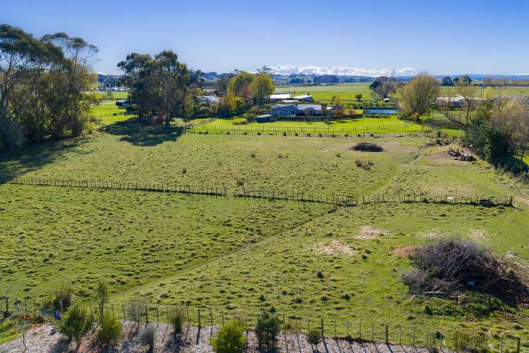 Turoa Street Feilding_1