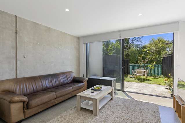 47 Te Ara O Paetutu Petone_3