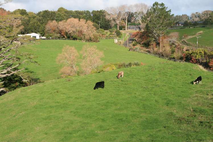 562 Frankley Road Hurworth_14