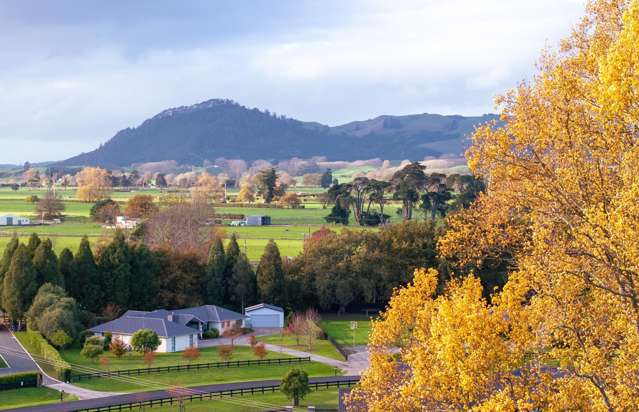 Owners sights set firmly elsewhere
