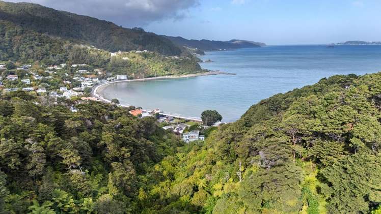 208 Marine Drive Lowry Bay_6