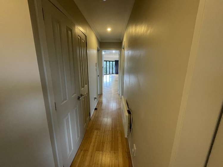 5 Catlins Glen Aotea_18