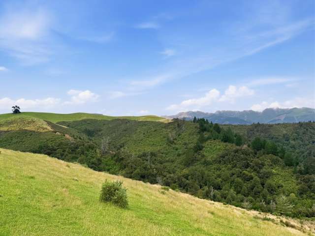 520 Traceys Road Loburn_1