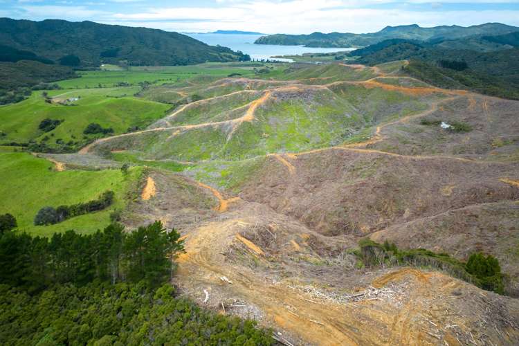 Lot 3/455 Waikawau Beach Road, Coromandel ThamesCoromandel Rural