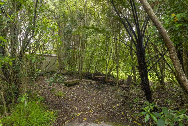 100 Maui Pomare Road Nikau Valley_19