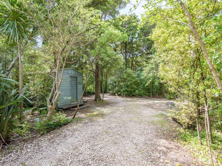 64 Totara Avenue Collingwood_13