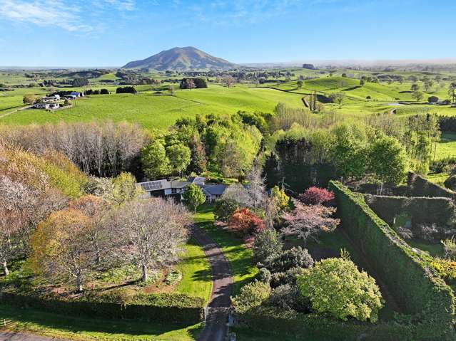 149 Frontier Road Te Awamutu_4