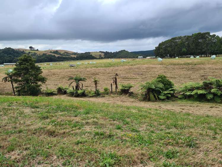 Dodd Road Maungaturoto Kaipara Rural Property For Sale One Roof