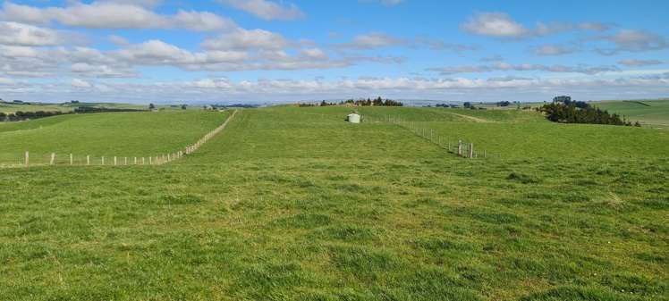 526 Turnbull Road Gore Surrounds_16