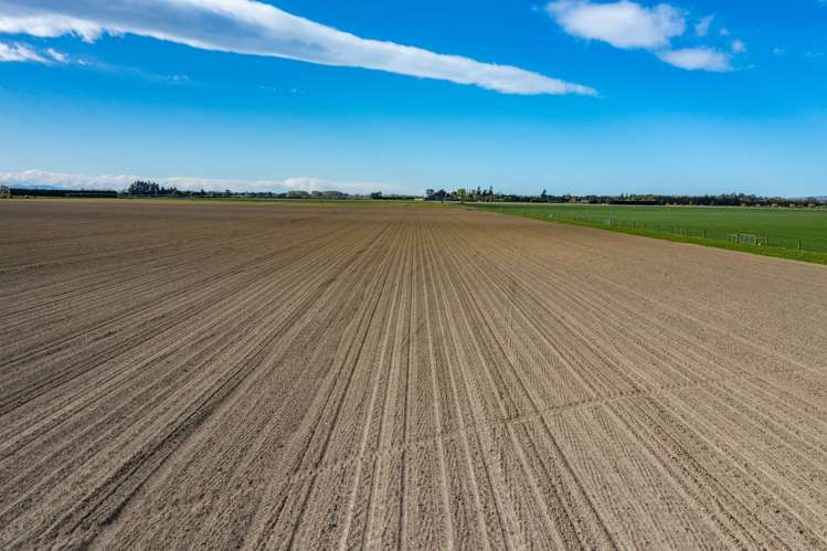 Selwyn Lake Road Leeston_15