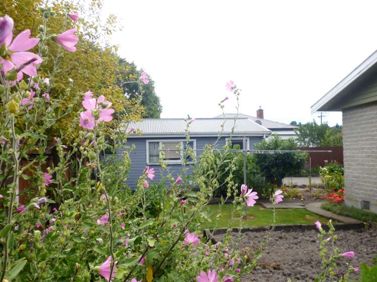 10 Lewis Street Geraldine_15