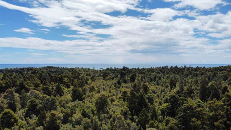 8 Hurren Place West Kumara Junction_21