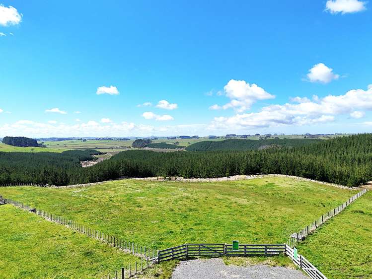 Babylon Coast Road Dargaville_6